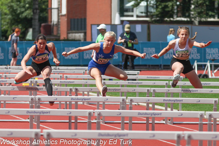 Photo number: IMG_4748, Canon EOS 5D Mark II, EF300mm f/4L IS USM, 1/1250 sec. bij f / 7,1, ISO 200