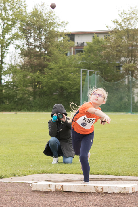 Fotonummer: IMG_4463, Canon EOS 77D, EF70-200mm f/4L IS USM, ISO 800, 1/1000 sec. bij f / 4,0