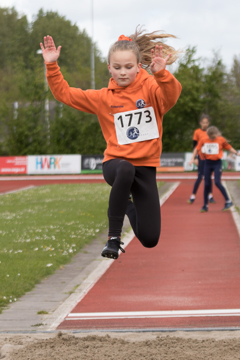 Fotonummer: IMG_3665, Canon EOS 77D, EF70-200mm f/4L IS USM, ISO 200, 1/1000 sec. bij f / 4,0