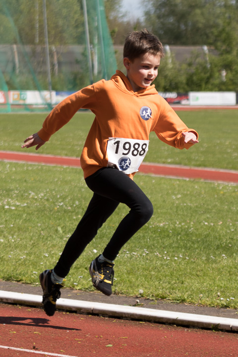 Fotonummer: IMG_3441, Canon EOS 77D, EF70-200mm f/4L IS USM, ISO 100, 1/1000 sec. bij f / 4,0