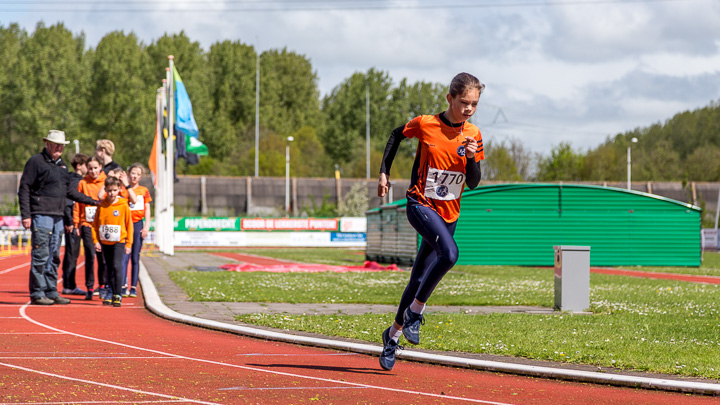 Fotonummer: _MG_9302, Canon EOS 6D, EF24-105mm f/4L IS USM, ISO 200, 1/1000 sec. bij f / 4,0