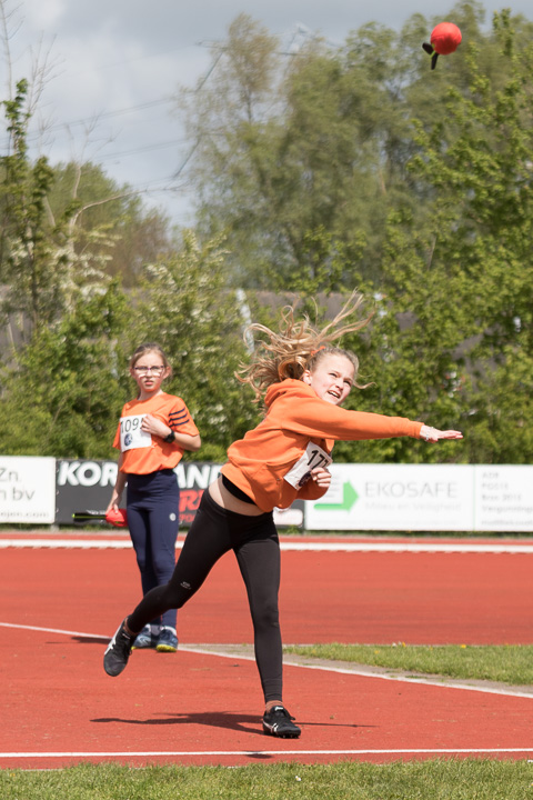 Fotonummer: IMG_4223, Canon EOS 77D, EF70-200mm f/4L IS USM, ISO 100, 1/1000 sec. bij f / 4,0