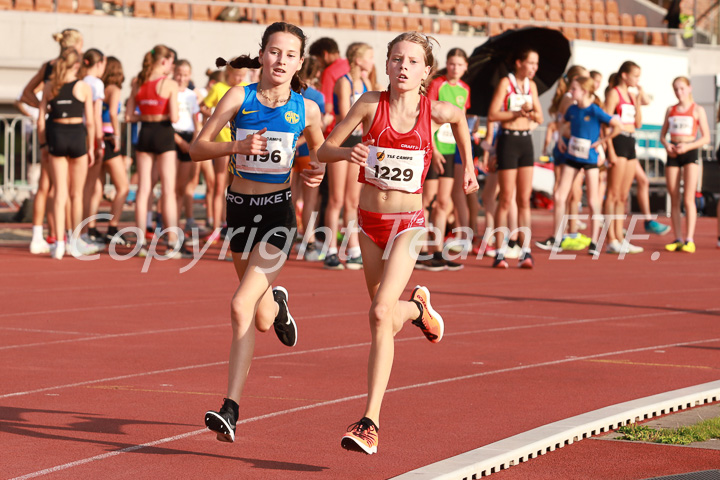 Foto: Sjoerd de Roos, fotonummer: IMG_1808