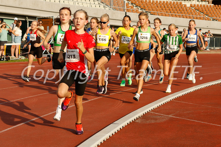 Foto: Sjoerd de Roos, fotonummer: _MG_8002