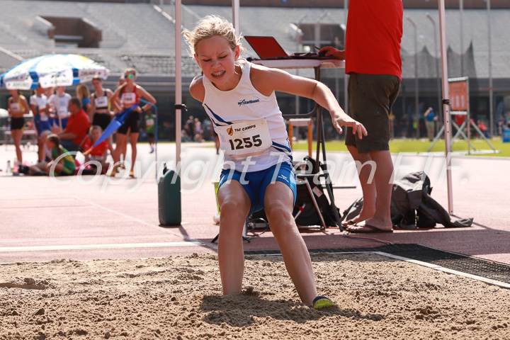 Foto: Sjoerd de Roos, fotonummer: IMG_0219