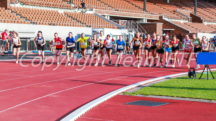 Foto: Sjoerd de Roos, fotonummer: IMG_1961