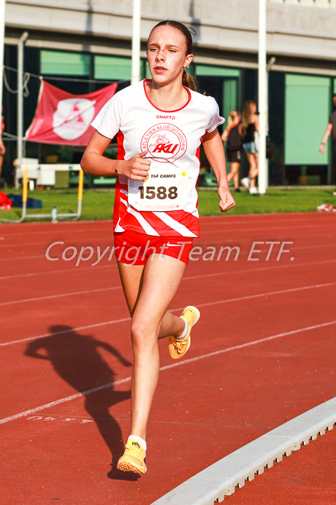 Foto: Sjoerd de Roos, fotonummer: IMG_2013