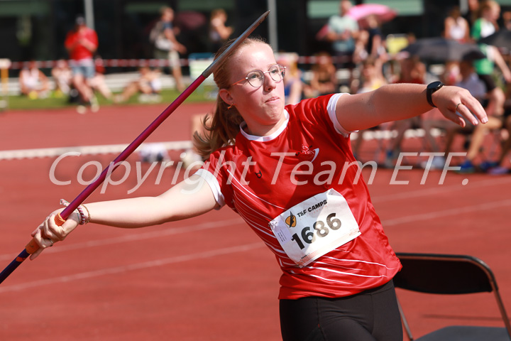 Foto: Sjoerd de Roos, fotonummer: IMG_9997