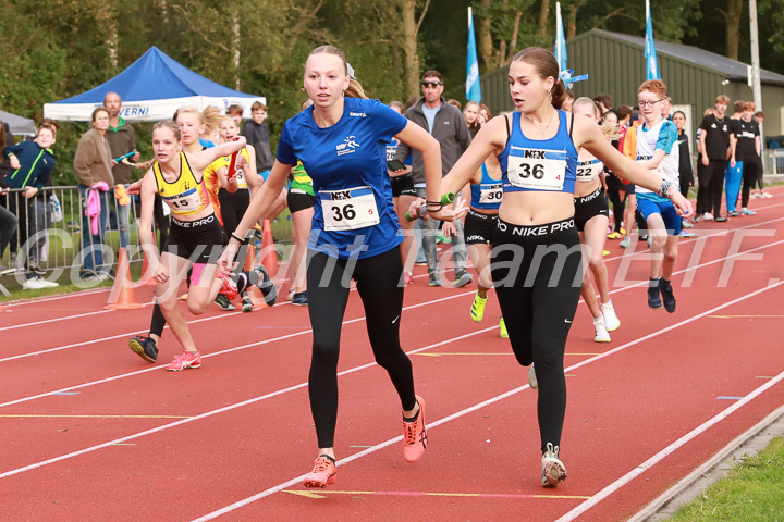 Foto: Sjoerd de Roos, fotonummer: SR-IMG_8993