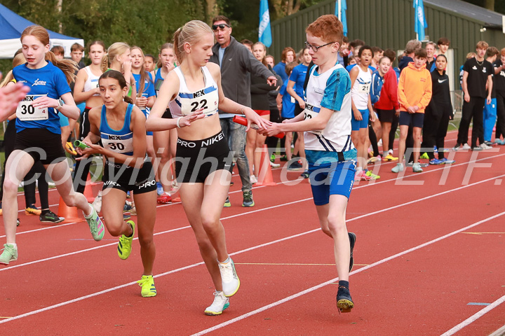 Foto: Sjoerd de Roos, fotonummer: SR-IMG_8997