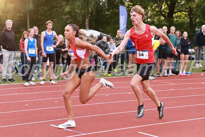 Foto: Sjoerd de Roos, fotonummer: SR-IMG_9230