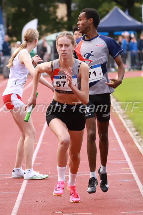 Foto: Sjoerd de Roos, fotonummer: SR-IMG_7053