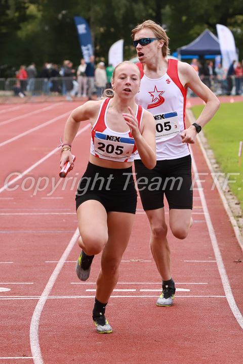 Foto: Sjoerd de Roos, fotonummer: SR-IMG_7193