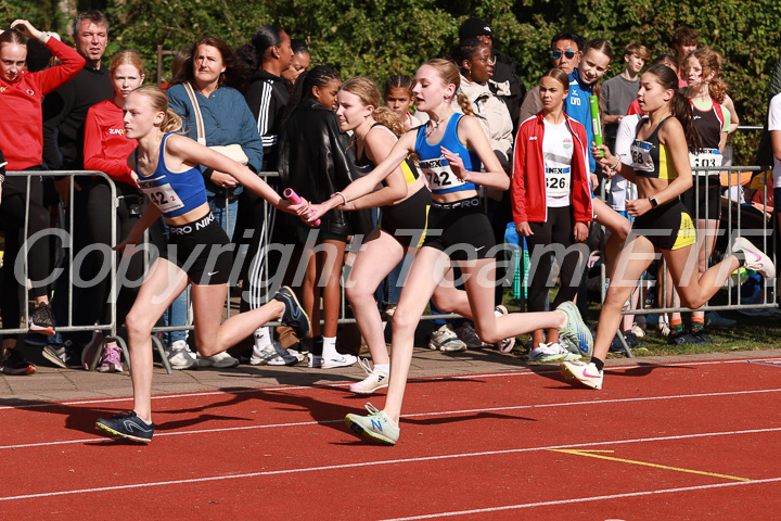 Foto: Sjoerd de Roos, fotonummer: SR-IMG_6656