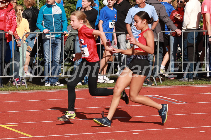 Foto: Sjoerd de Roos, fotonummer: SR-IMG_6701