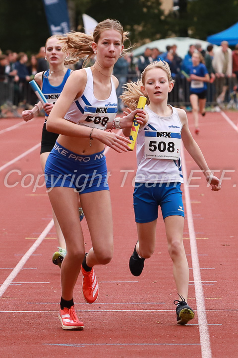 Foto: Sjoerd de Roos, fotonummer: SR-IMG_8553