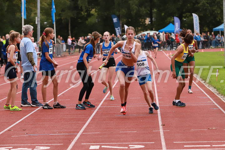 Foto: Sjoerd de Roos, fotonummer: SR-IMG_8556