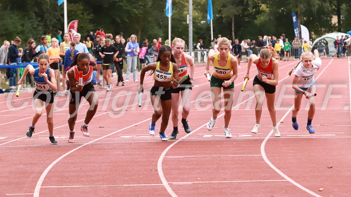 Foto: Sjoerd de Roos, fotonummer: SR-IMG_8632