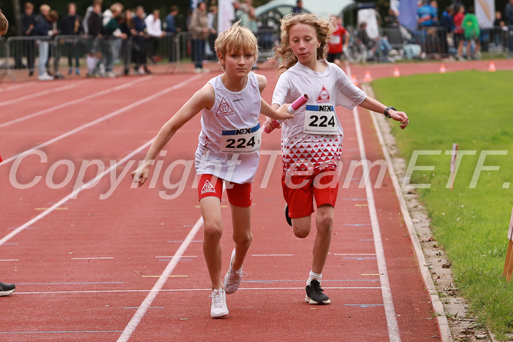 Foto: Sjoerd de Roos, fotonummer: SR-IMG_8795