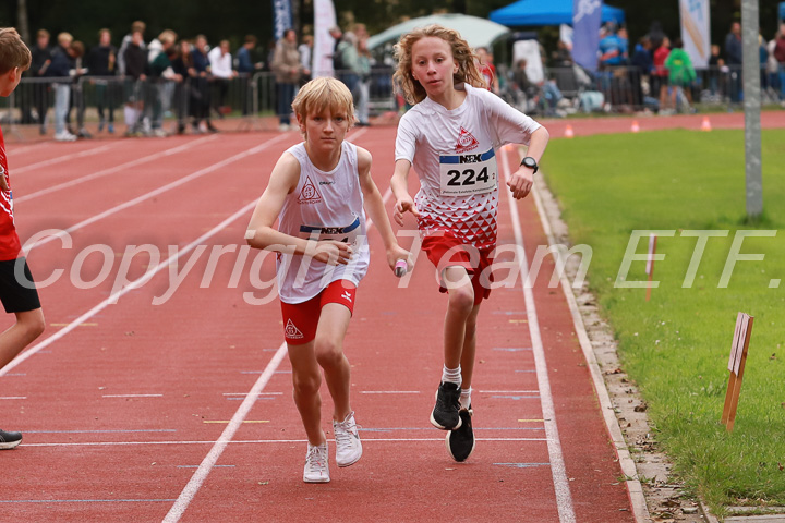 Foto: Sjoerd de Roos, fotonummer: SR-IMG_8796