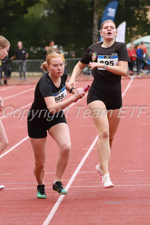 Foto: Sjoerd de Roos, fotonummer: SR-IMG_7353