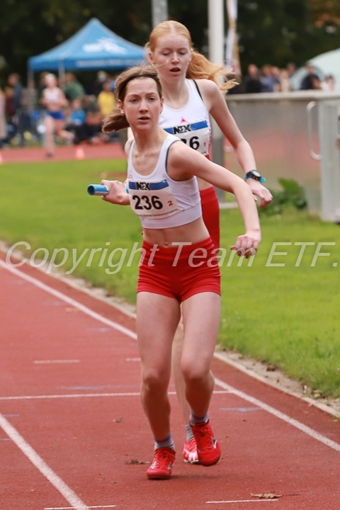 Foto: Sjoerd de Roos, fotonummer: SR-IMG_7760