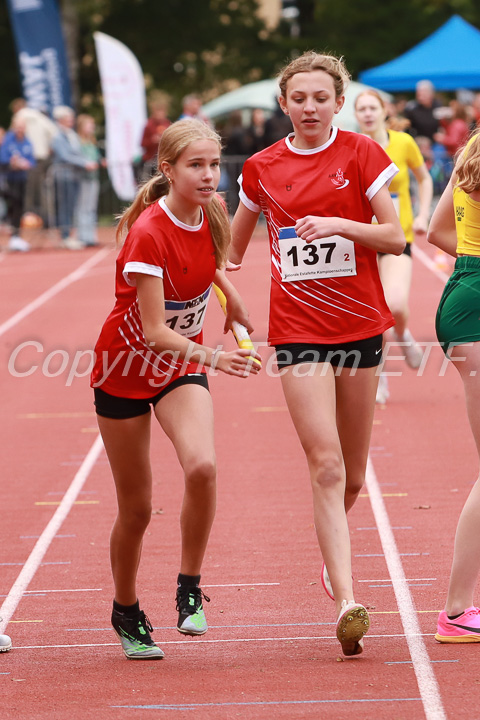 Foto: Sjoerd de Roos, fotonummer: SR-IMG_7801