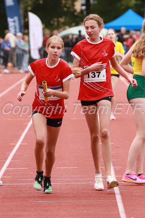 Foto: Sjoerd de Roos, fotonummer: SR-IMG_7803