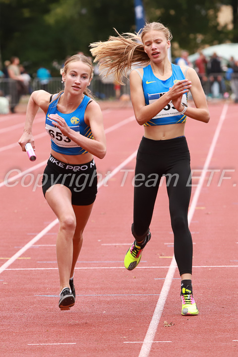 Foto: Sjoerd de Roos, fotonummer: SR-IMG_7844