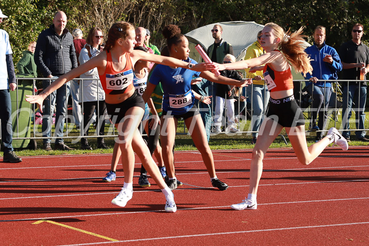 Foto: Sjoerd de Roos, fotonummer: SR-IMG_5375