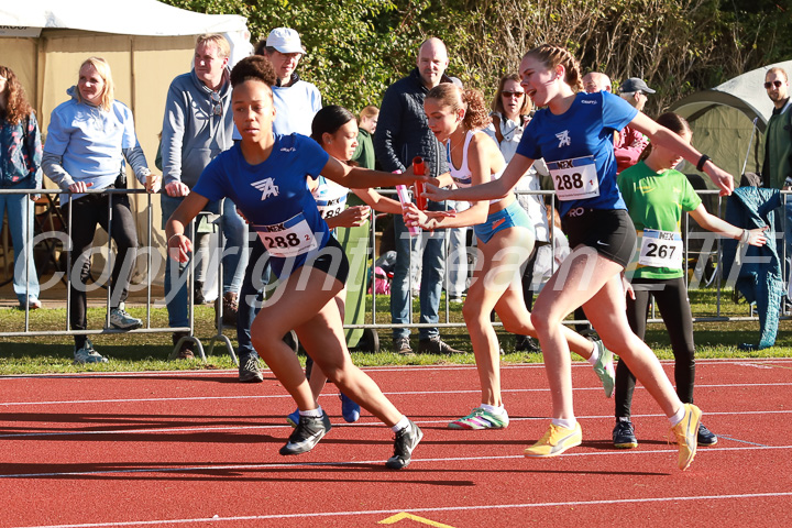 Foto: Sjoerd de Roos, fotonummer: SR-IMG_5381