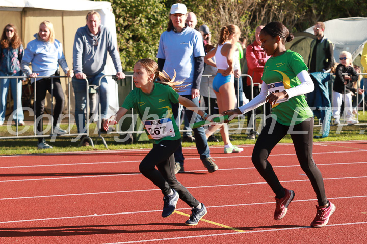 Foto: Sjoerd de Roos, fotonummer: SR-IMG_5389