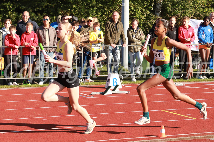 Foto: Sjoerd de Roos, fotonummer: SR-IMG_5503