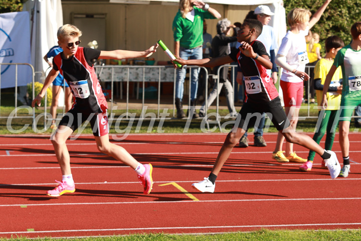 Foto: Sjoerd de Roos, fotonummer: SR-IMG_5591