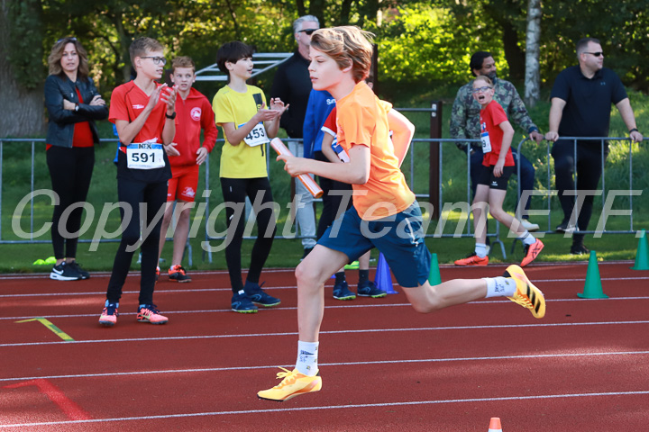 Foto: Sjoerd de Roos, fotonummer: SR-IMG_5673