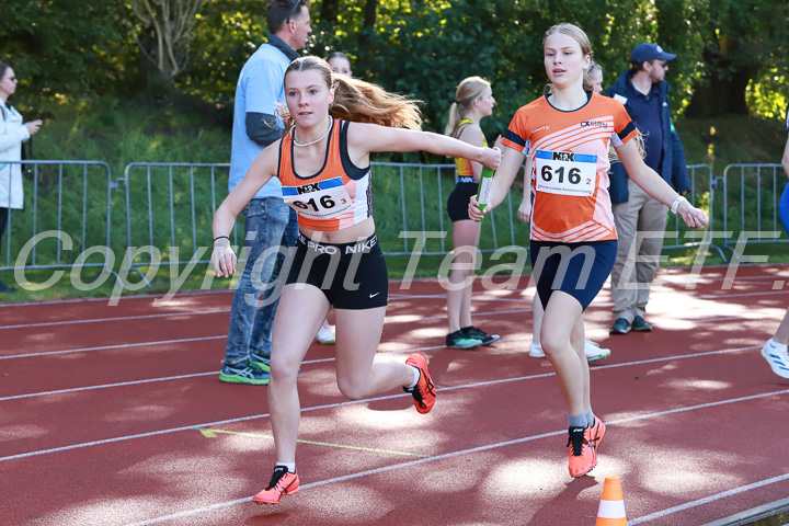 Foto: Sjoerd de Roos, fotonummer: SR-IMG_5817