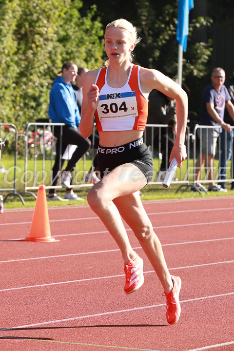 Foto: Sjoerd de Roos, fotonummer: SR-IMG_5883