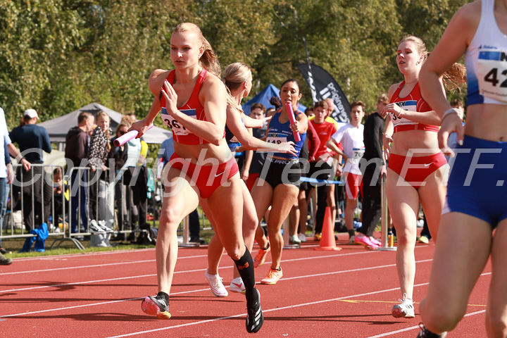 Foto: Sjoerd de Roos, fotonummer: SR-IMG_6557